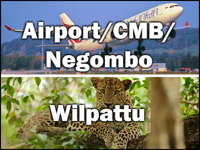 Airport to Wilpattu or Wilpattu to Airport trnasfer