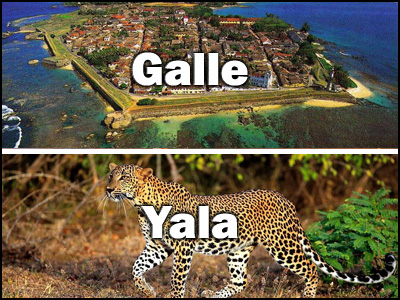Galle to Yala or Yala to Galle Trnasfer