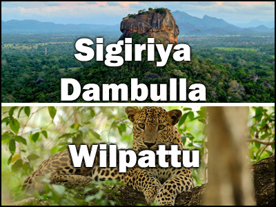 Wilpattu to Sigiriya, Dambulla or Sigiriya, Dambulla to Wilpattu trnasfer