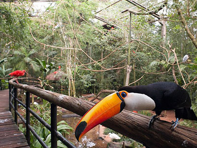 Dehiwala Zoological Garden