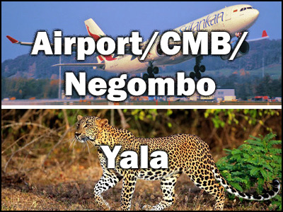 Airport to Yala or Yala to Airport trnasfer