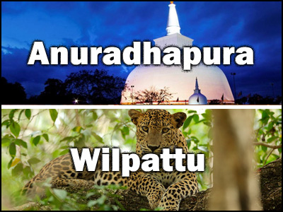 Anuradhapura to Wilpatthu or Wilpattu to Anuradhapura trnasfer