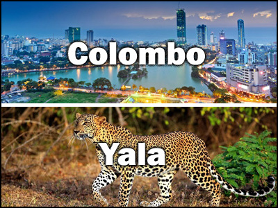 Yala to Colombo or Colombo to Yala Trnasfer