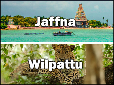 Jaffna to Wilpattu or Wilpattu to Jaffna trnasfer