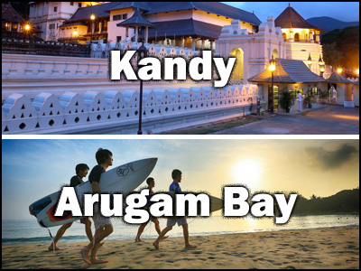 Arugam Bay to kandy or kandy to Arugam Bay trnasfer