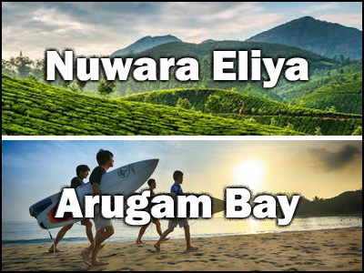 Arugam Bay to Nuwara Eliya or Nuwara Eliya to Arugam Bay trnasfer
