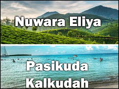 Pasikuda, Kalkudah to Nuwara Eliya or Nuwara Eliya to Pasikuda, Kalkudah trnasfer