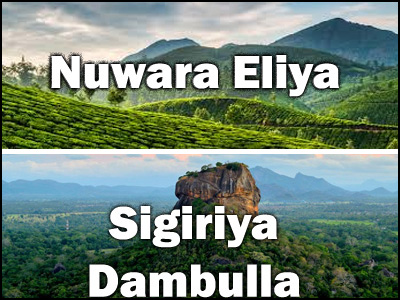 Sigiriya, Dambulla to Nuwara Eliya or Nuwara Eliya to Sigiriya, Dambulla trnasfer
