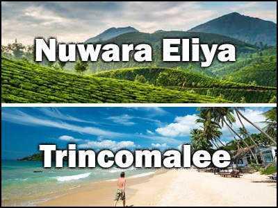 Trincomalee to Nuwara Eliya or Nuwara Eliya to Trincomalee trnasfer