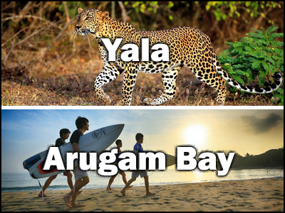 Arugam Bay to Yala or Yala to Arugam Bay trnasfer