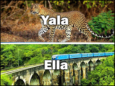Ella to Yala or Yala to Ella trnasfer