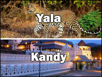 Kandy to Yala or Yala to Kandy trnasfer