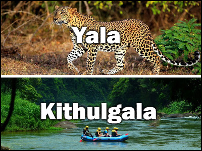 Kithulgala to Yala or Yala to Kithulgala trnasfer